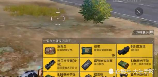 和平精英吃鸡辅助器推荐