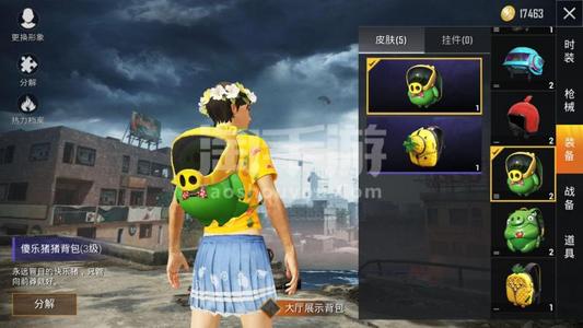 和平精英ios手机版辅助